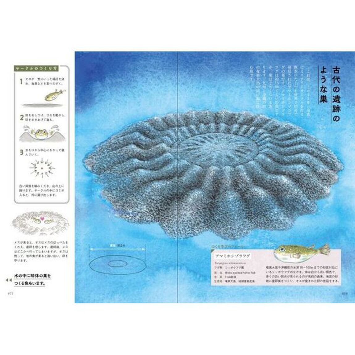 生きものがつくる美しい家　動物たちのすごい巣１２１
