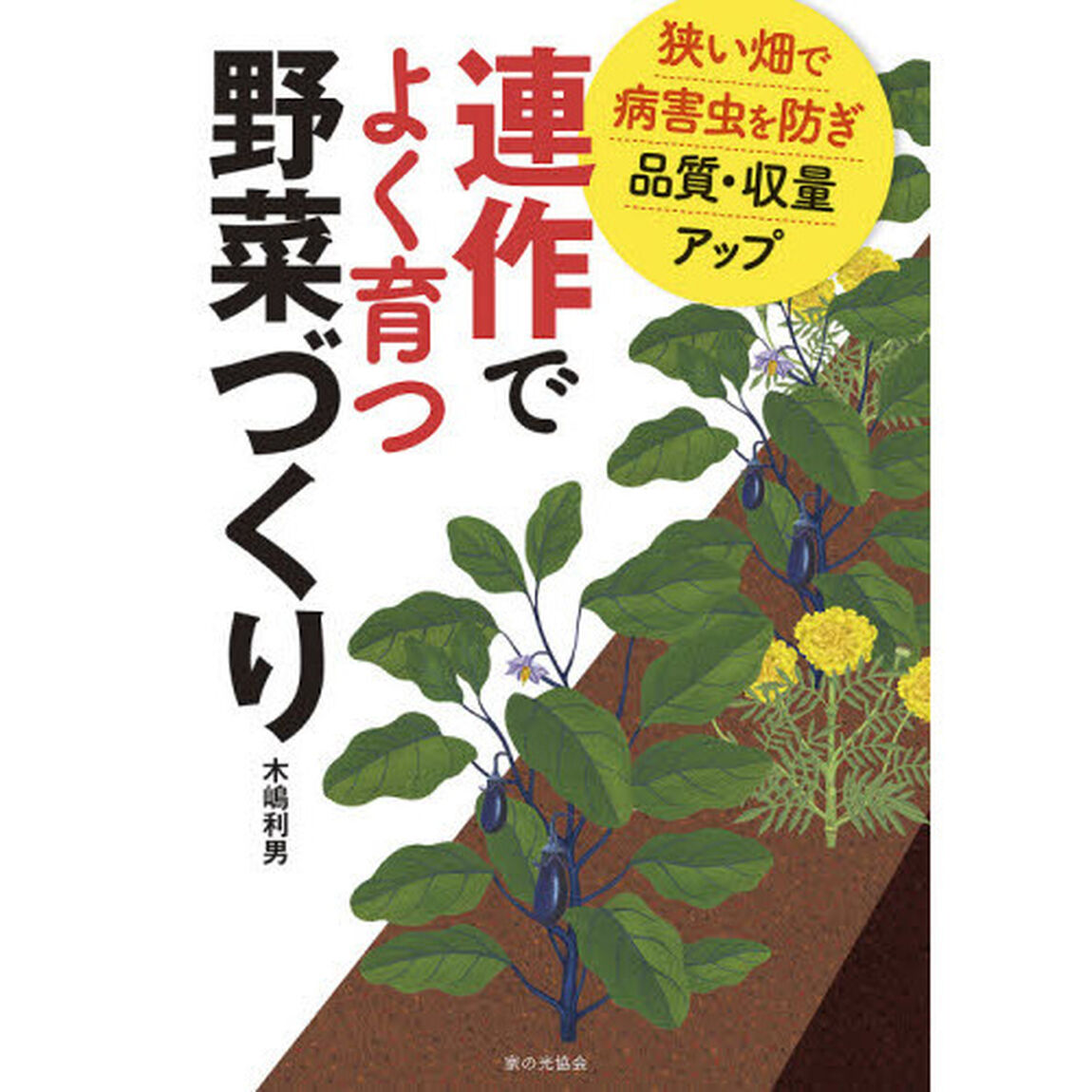 連作でよく育つ野菜づくり　狭い畑で病害虫を防ぎ品質・収量アップ