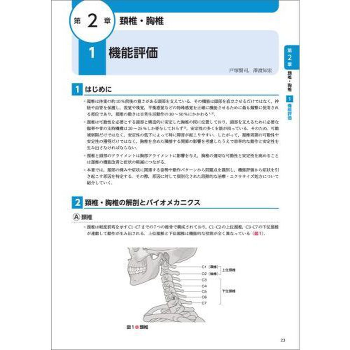 姿勢と動作の評価からつなげるストレッチングとエクササイズ　動画と画像で学ぶ段階的な治療介入