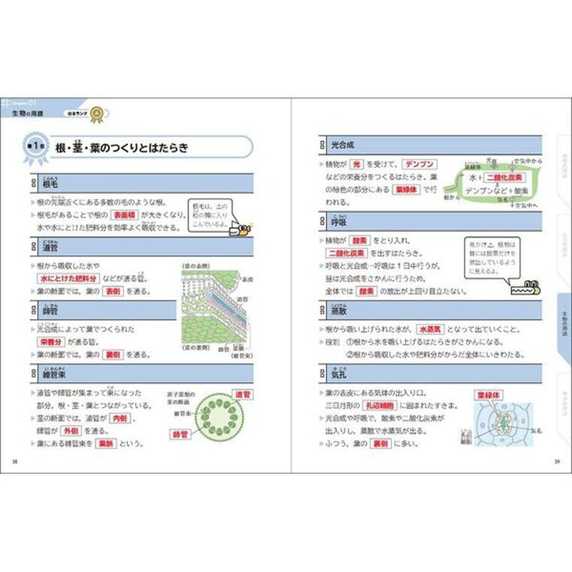 中学理科１４０「改訂版」