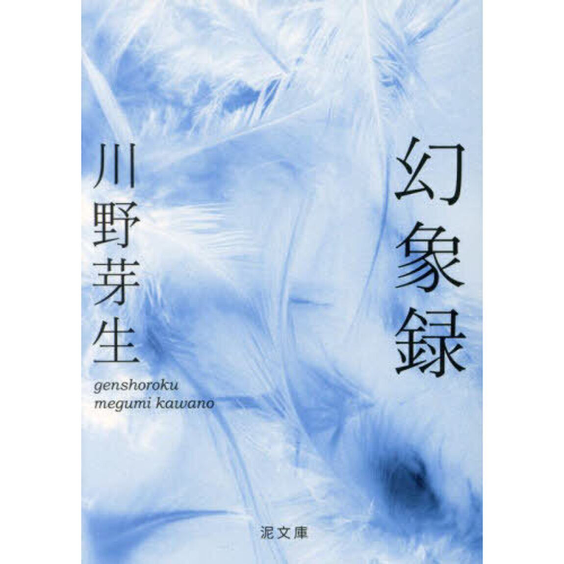 幻象録