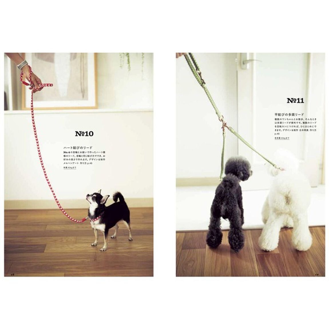結んでつくる犬の首輪とリード　Ｆｏｒ　ＤＯＧＳ