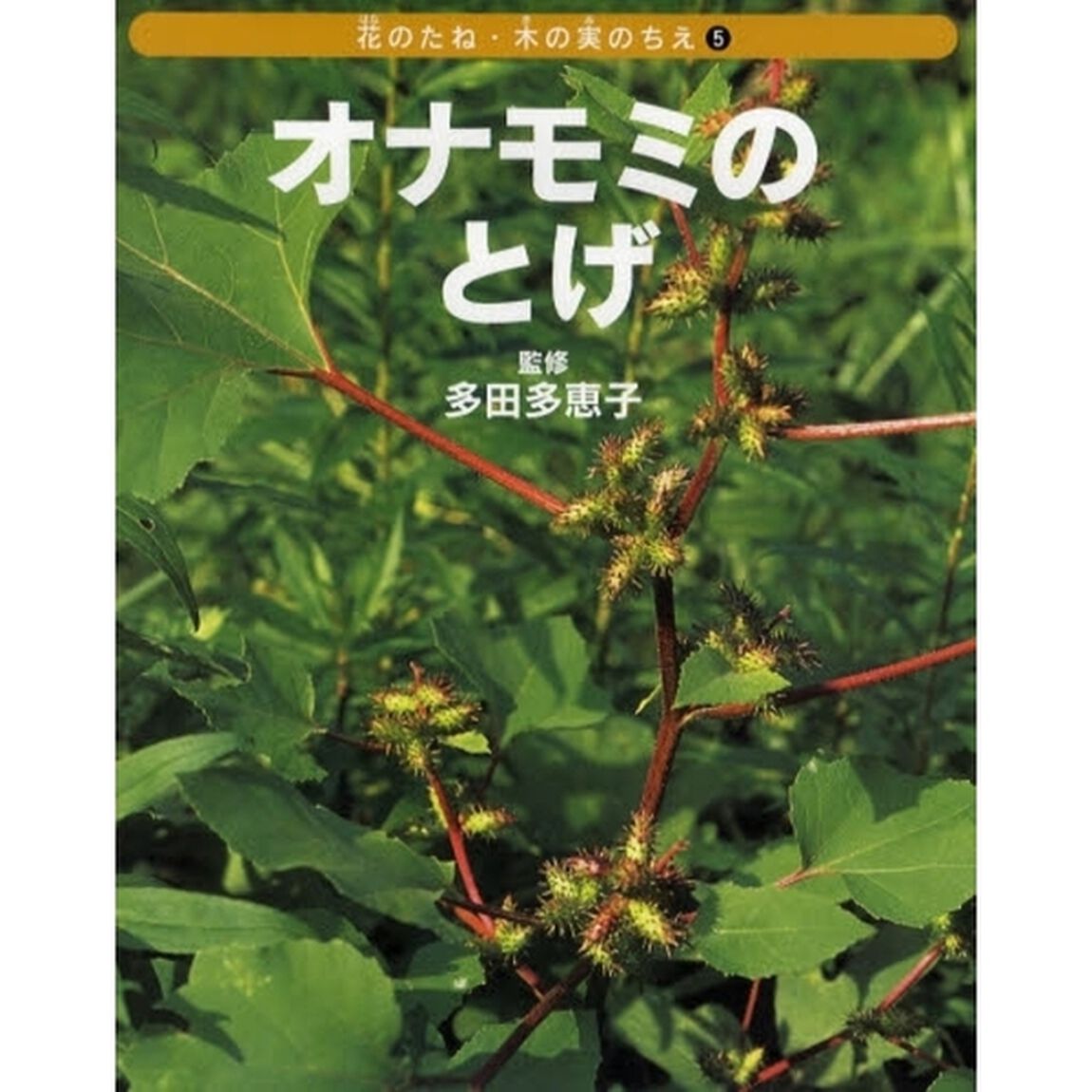 花のたね・木の実のちえ　５「オナモミのとげ」