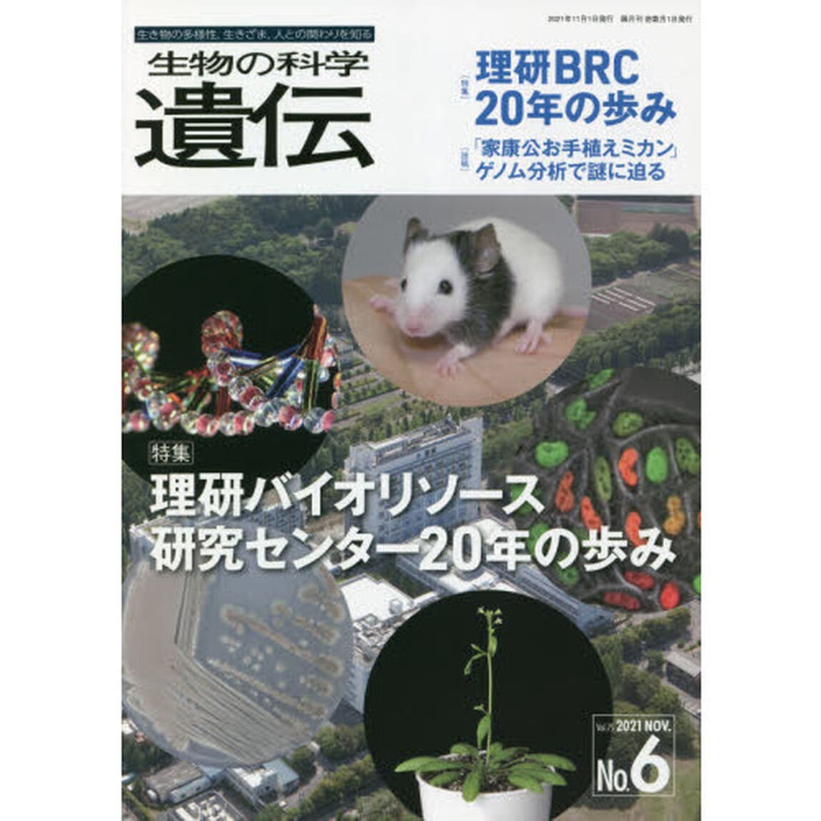 生物の科学遺伝　Ｖｏｌ．７５Ｎｏ．６（２０２１ＮＯＶ．）「理研バイオリソース研究センター２０年の歩み」