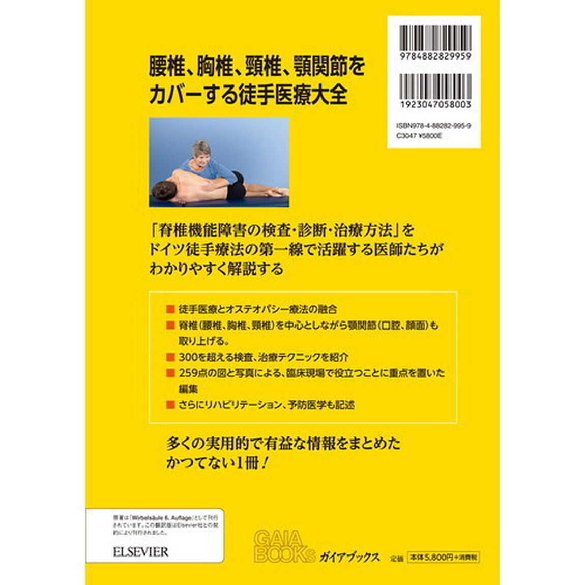 脊椎の機能障害　徒手検査とモビライゼーション