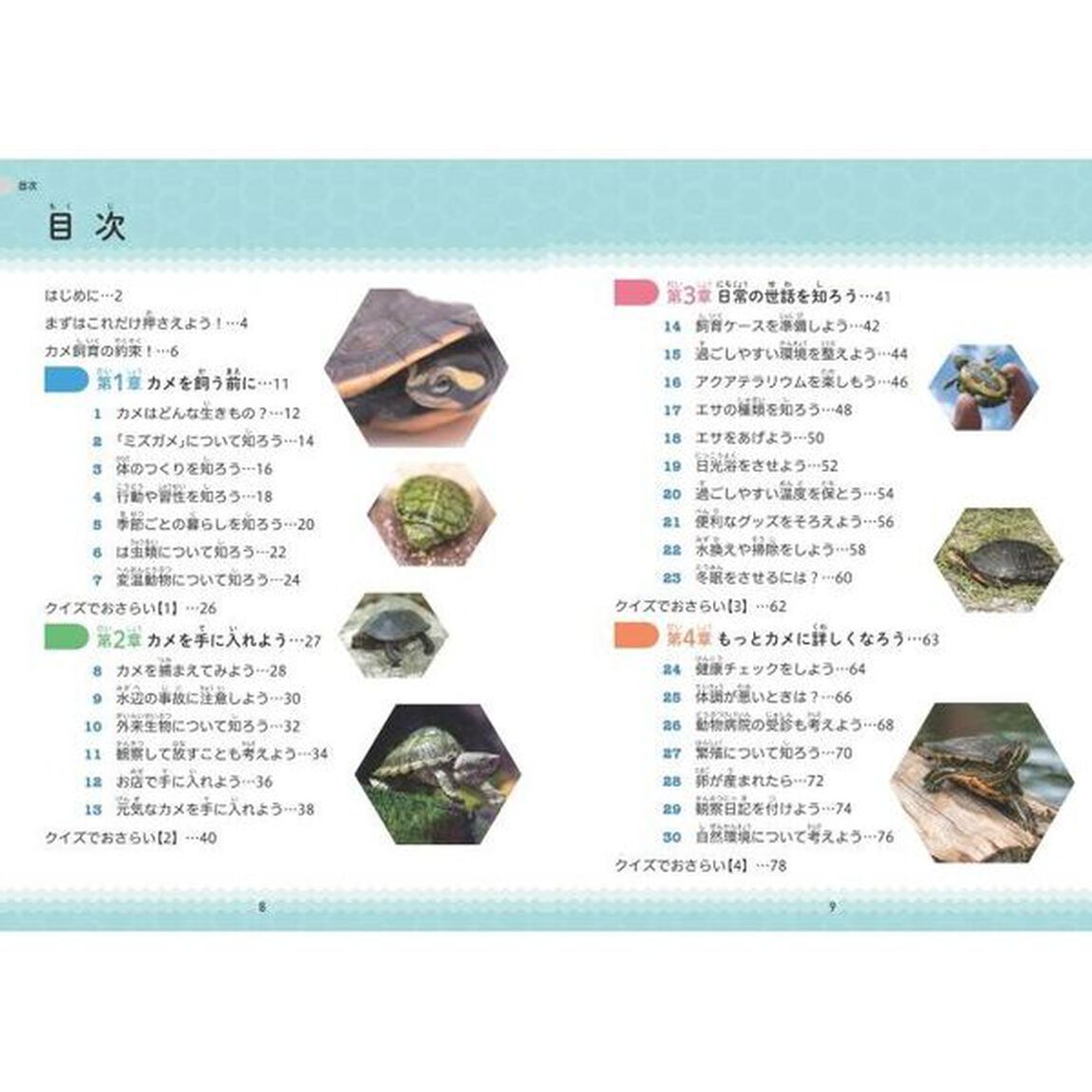 小学生でも安心！はじめてのカメ正しい飼い方・育て方
