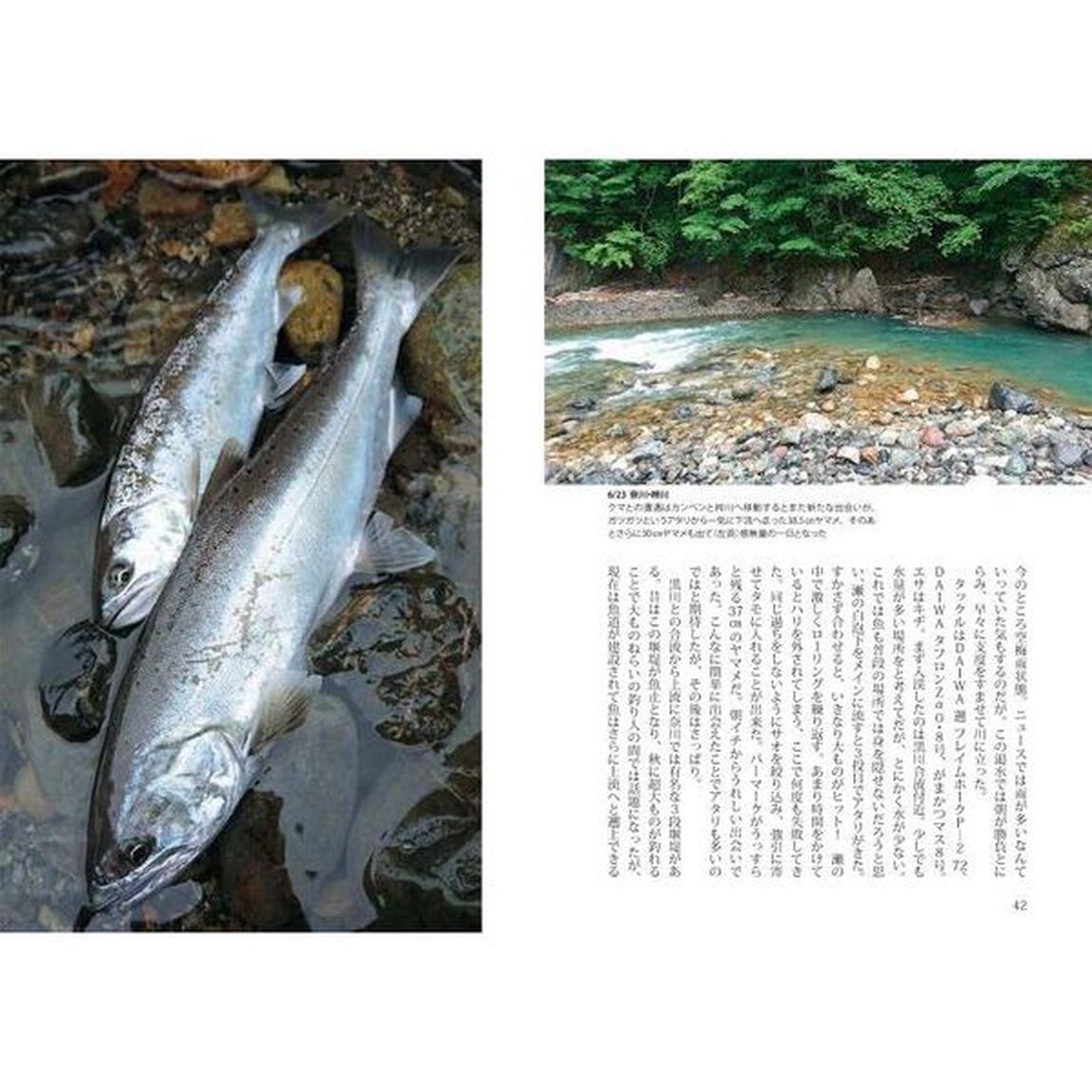 尺ヤマメ３０尾を１シーズンで釣ったら見えたこと