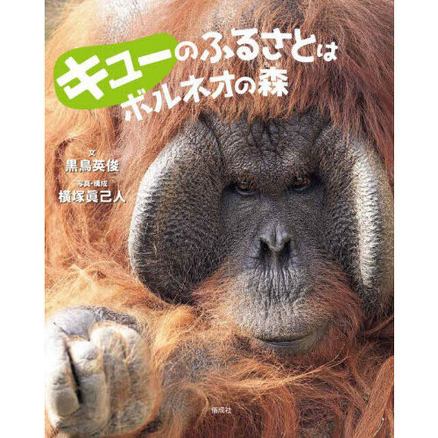 キューのふるさとはボルネオの森