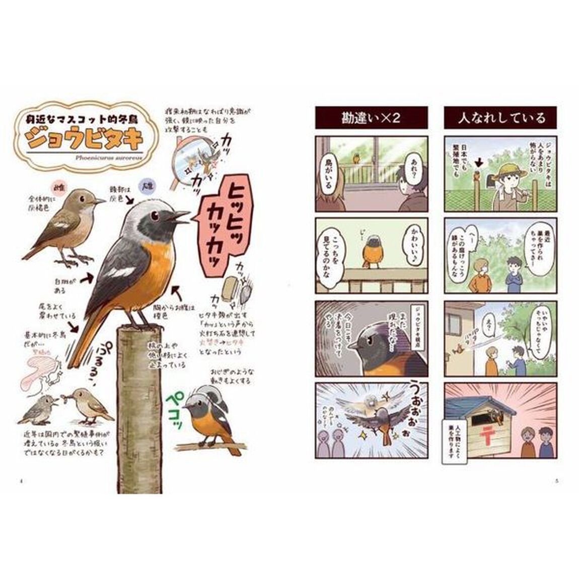 ジョウビタキ・ルリビタキ・オジロビタキ