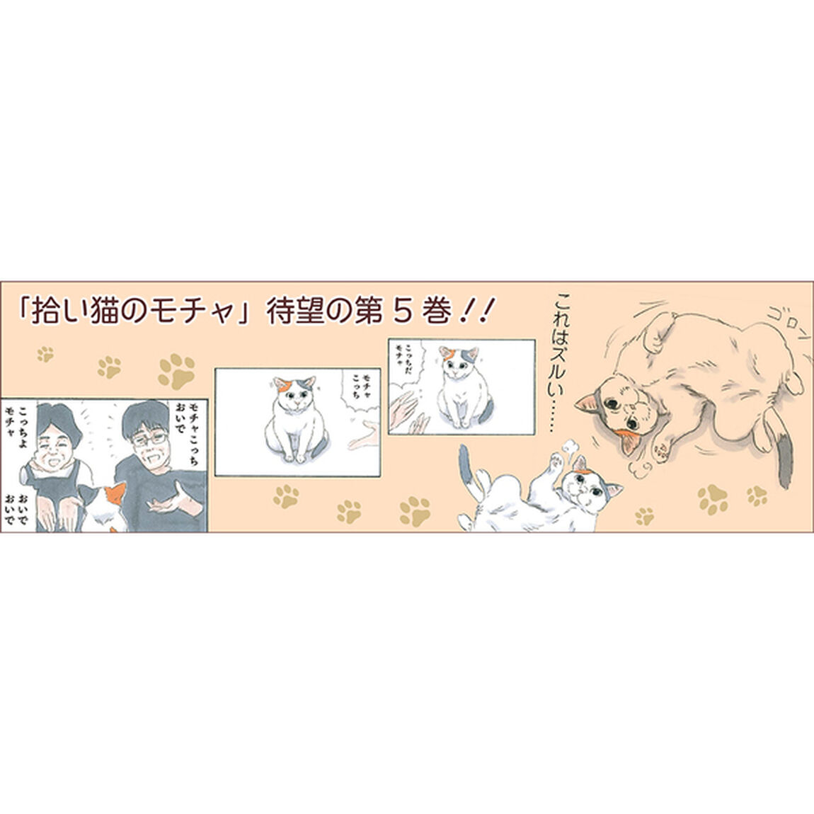 拾い猫のモチャ5 (KITORA)