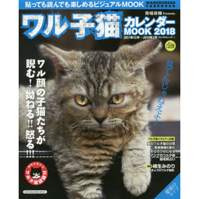 ワル子猫カレンダーＭＯＯＫ　貼っても読んでも楽しめるビジュアルＭＯＯＫ　２０１８