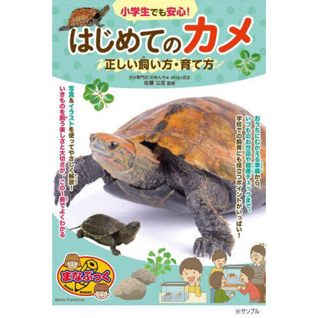 小学生でも安心！はじめてのカメ正しい飼い方・育て方