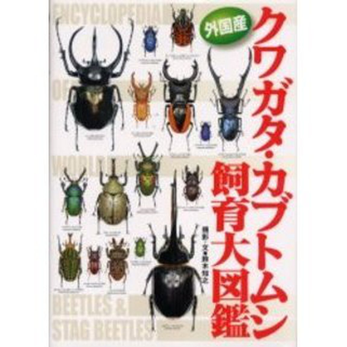 外国産クワガタ・カブトムシ飼育大図鑑