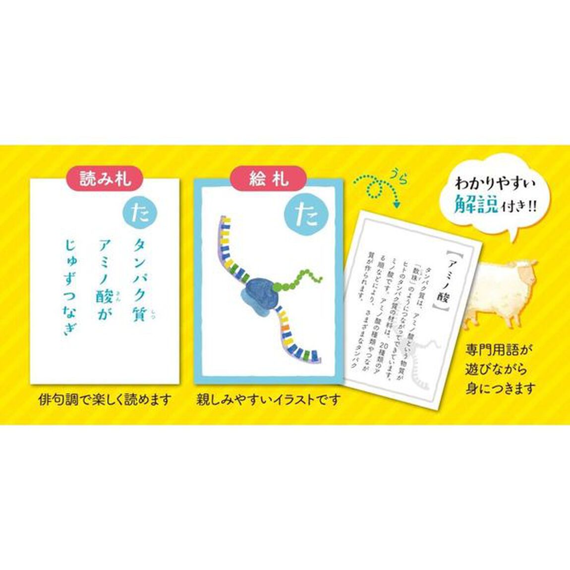 ｉＰＳ細胞かるた
