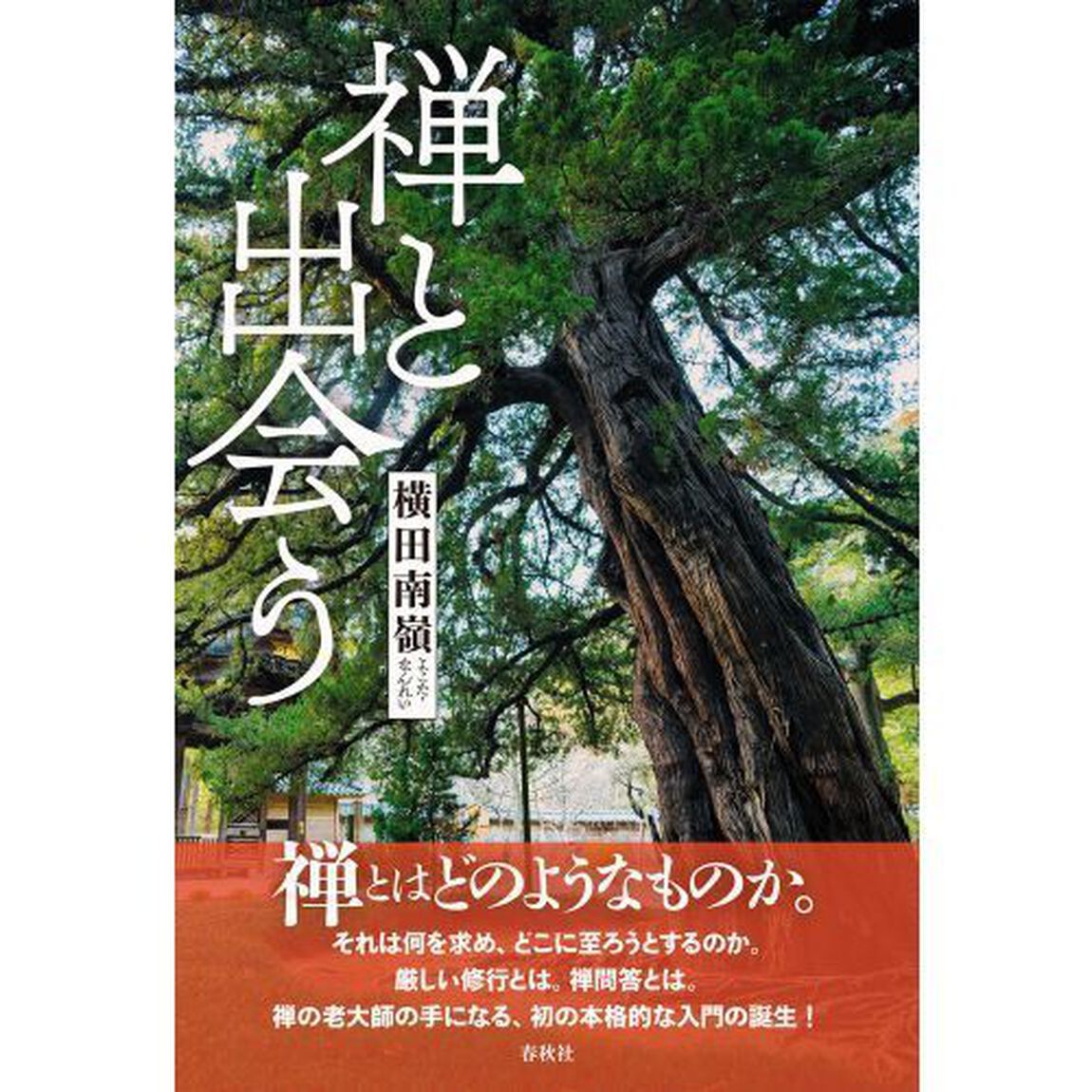 禅と出会う