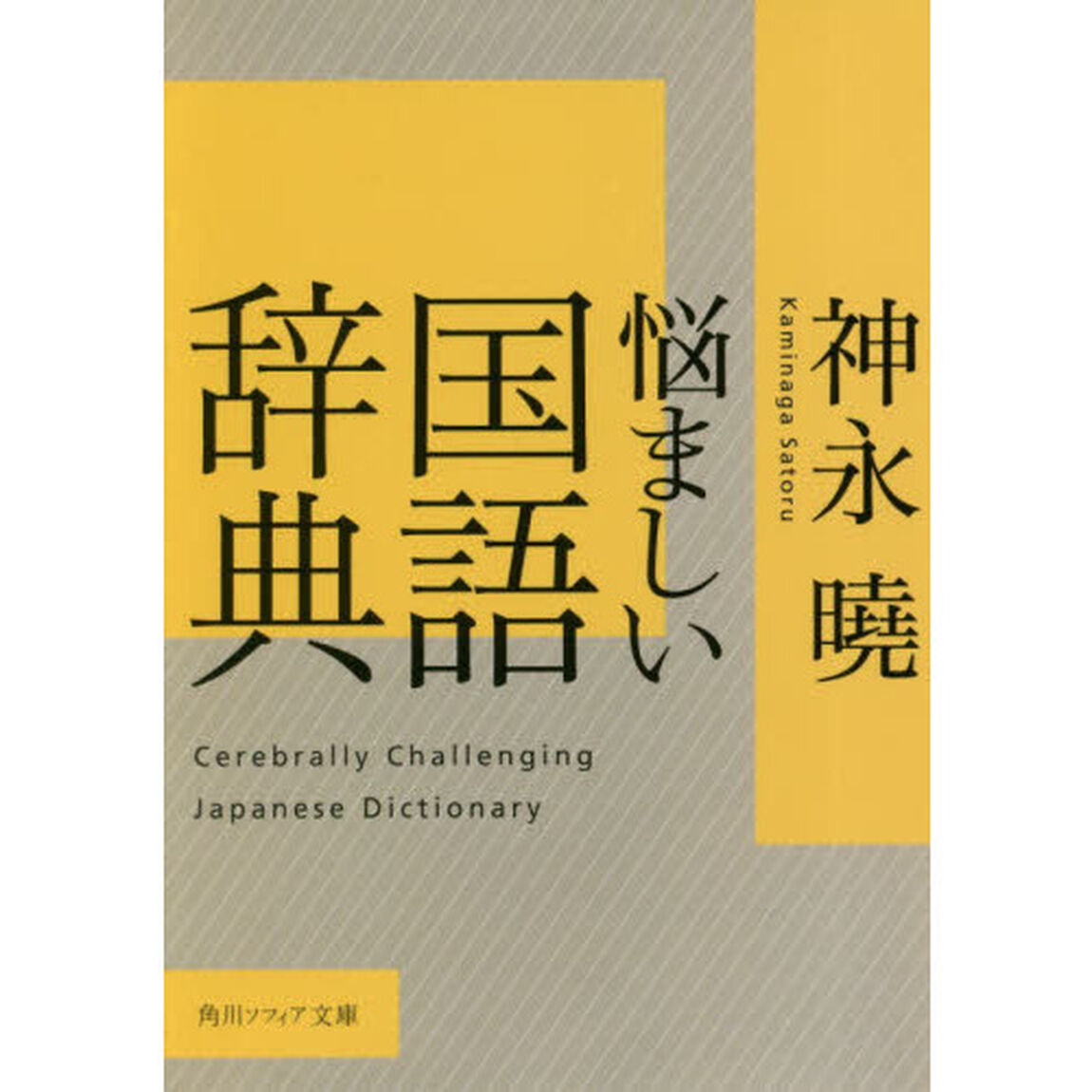 悩ましい国語辞典