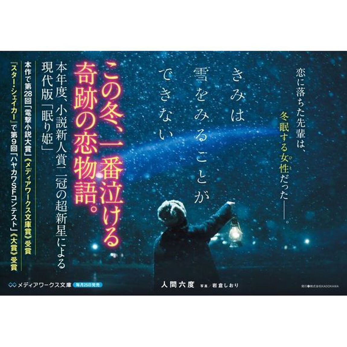 きみは雪をみることができない