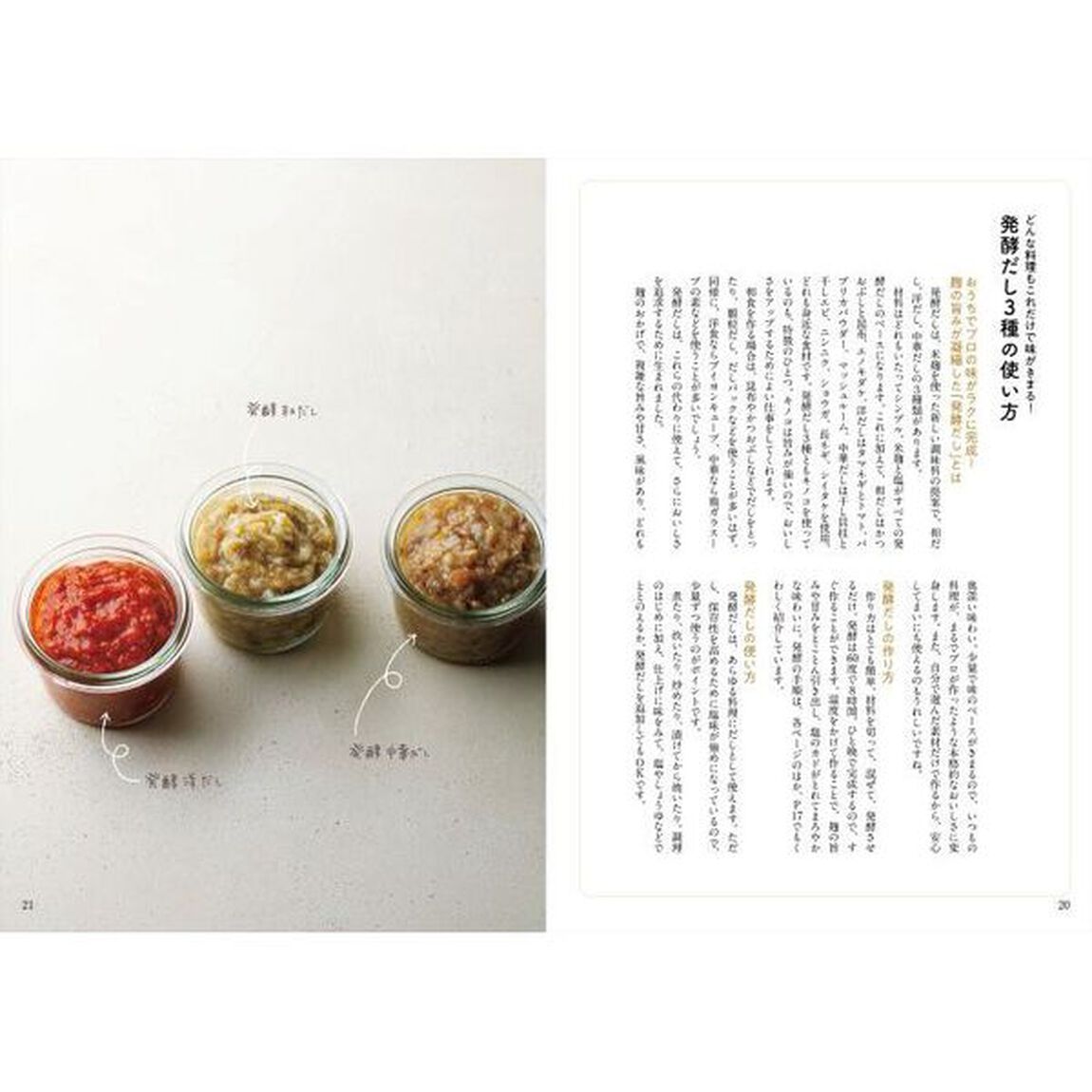 おいしいから作りたくなるまいにち発酵ごはん