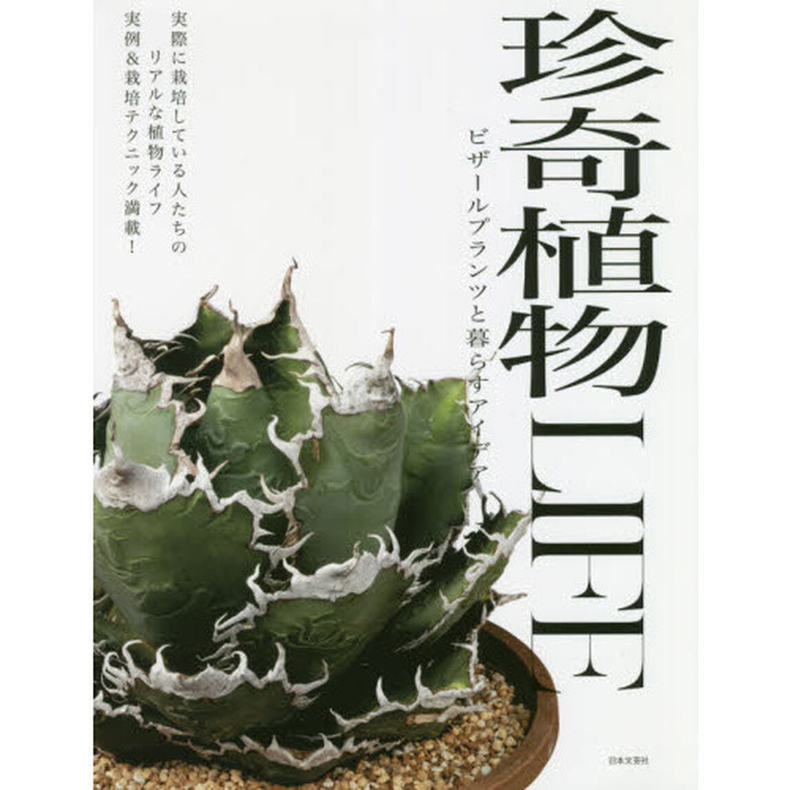 珍奇植物ＬＩＦＥ　ビザールプランツと暮らすアイデア　実際に栽培している人たちのリアルな植物ライフ実例＆栽培テクニック満載！