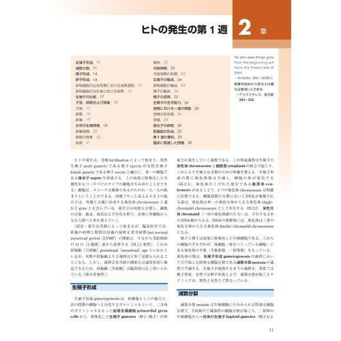 ムーア人体発生学「第２版」