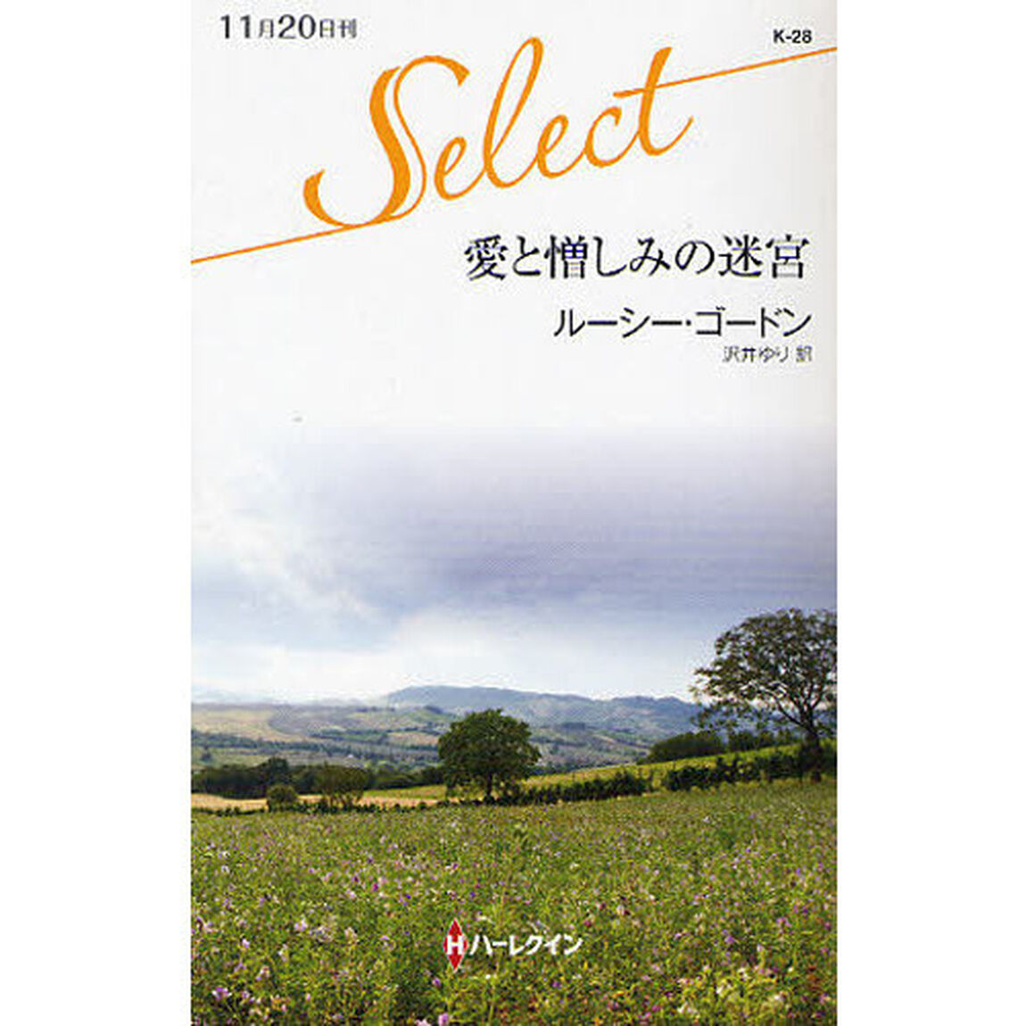 愛と憎しみの迷宮