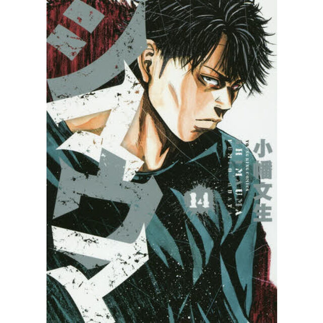 シマウマ　１４