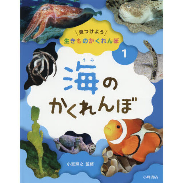 見つけよう生きものかくれんぼ　１「海のかくれんぼ」