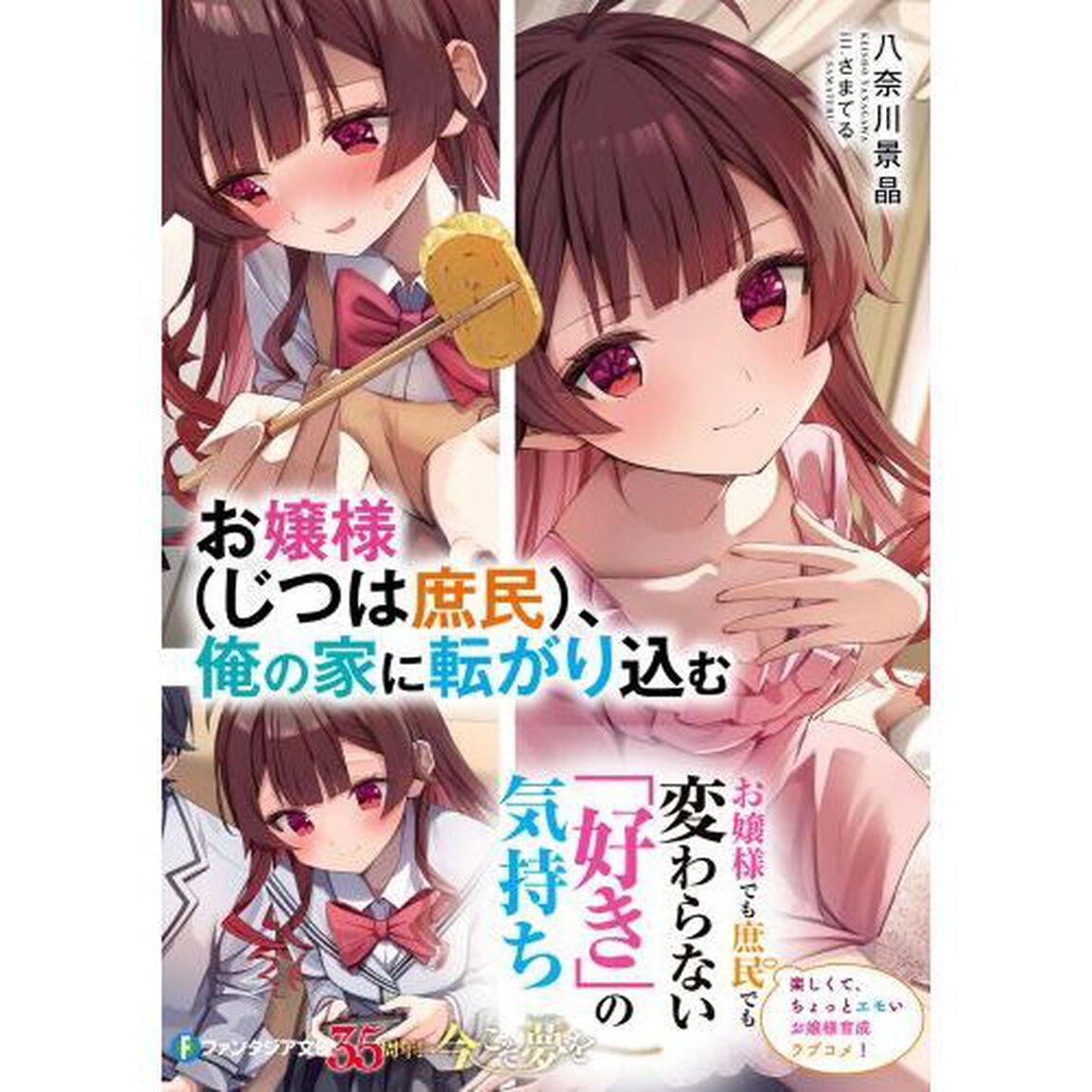 お嬢様〈じつは庶民〉、俺の家に転がり込む
