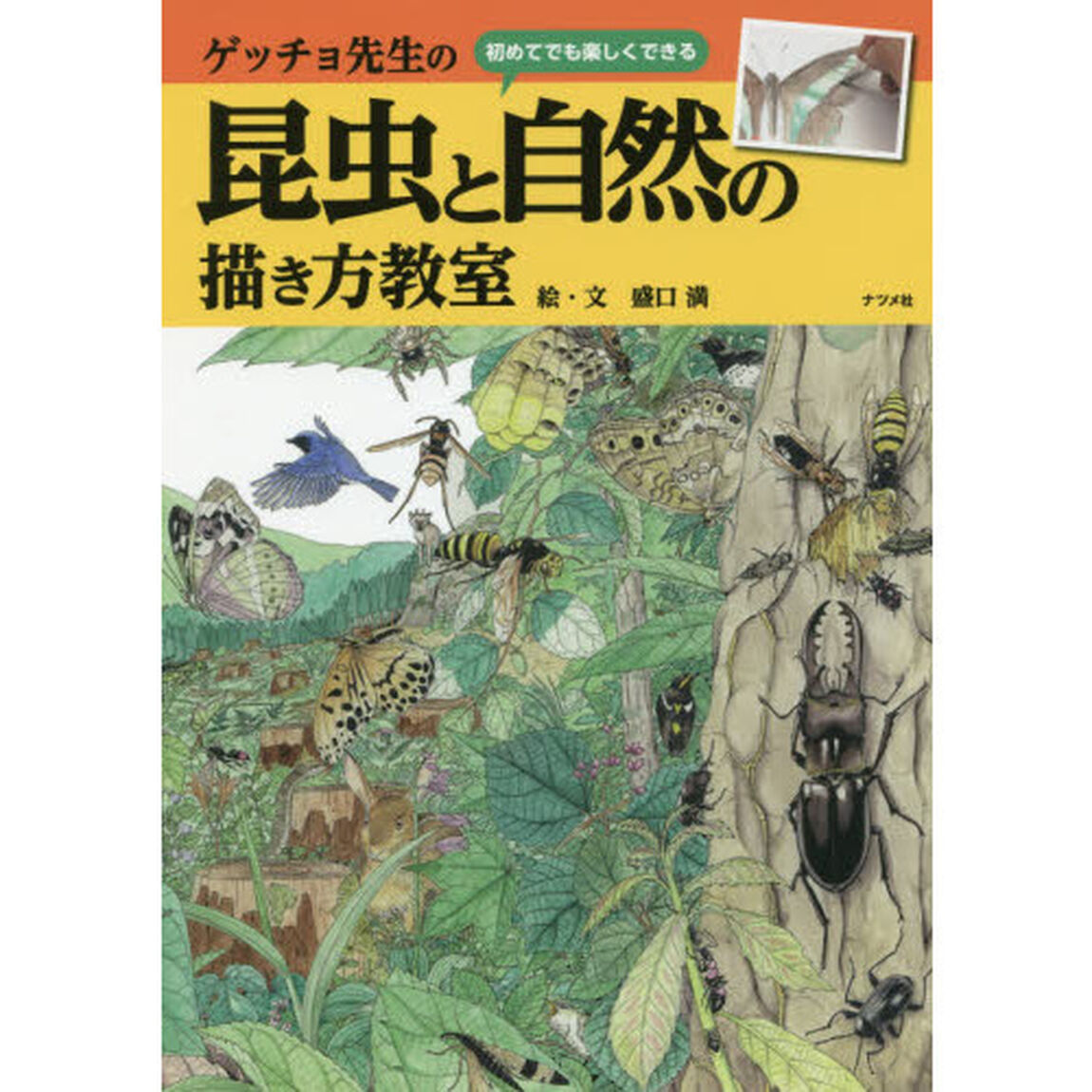 ゲッチョ先生の昆虫と自然の描き方教室　初めてでも楽しくできる