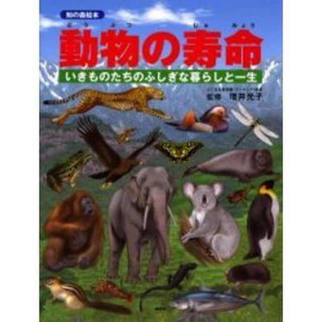動物の寿命　いきものたちのふしぎな暮らしと一生