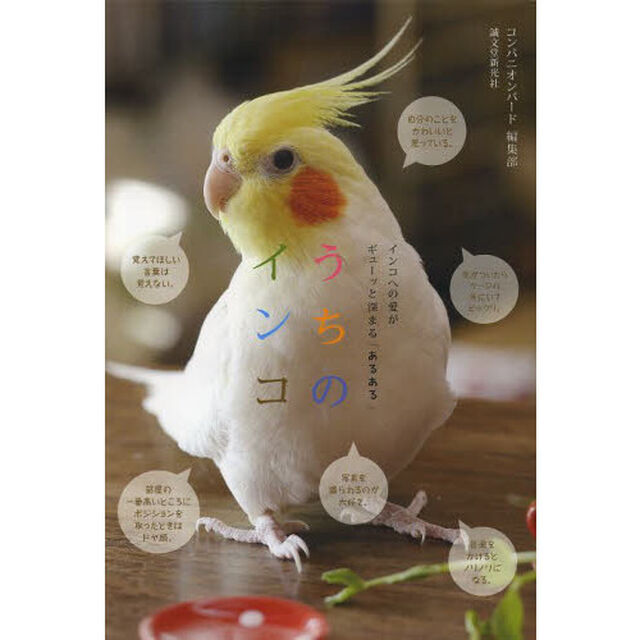 うちのインコ　インコへの愛がギューッと深まる「あるある」