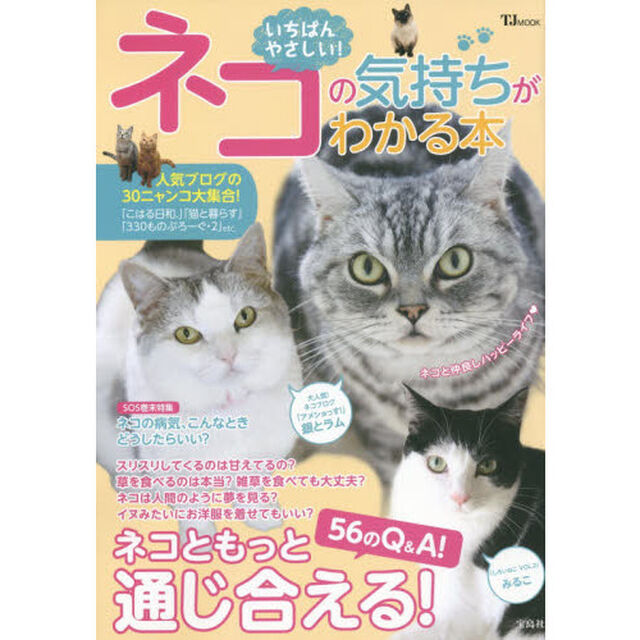 いちばんやさしい！ネコの気持ちがわかる本　ネコと仲良しハッピーライフ