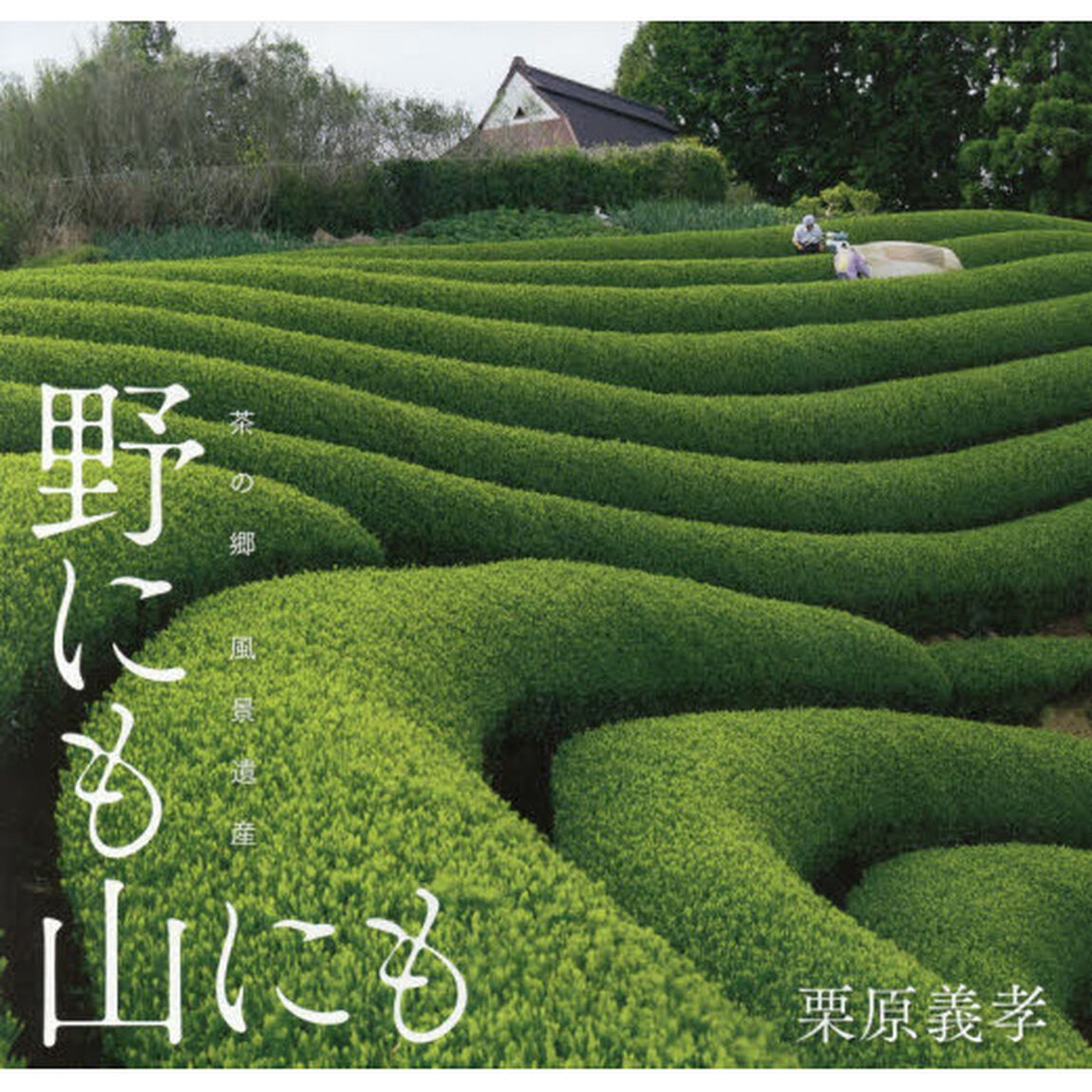 野にも山にも　茶の郷風景遺産