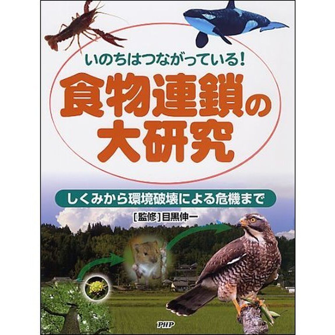 いのちはつながっている！食物連鎖の大研究　しくみから環境破壊による危機まで