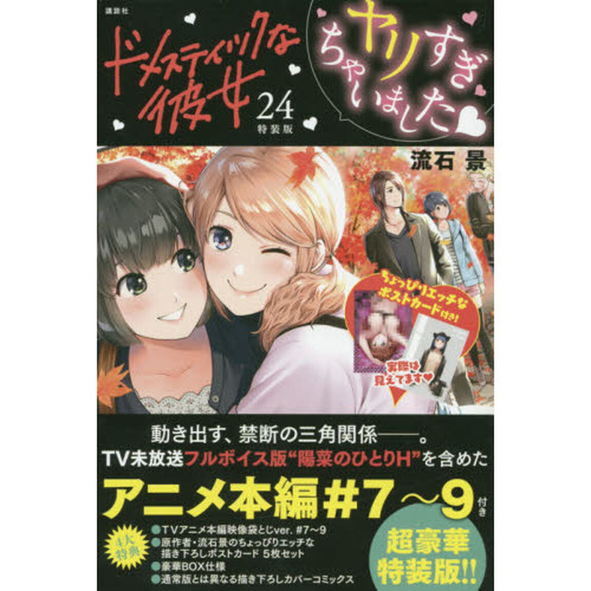 ドメスティックな彼女　　２４　特装版