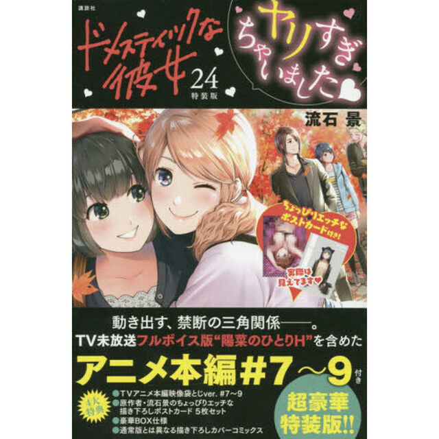 ドメスティックな彼女　　２４　特装版