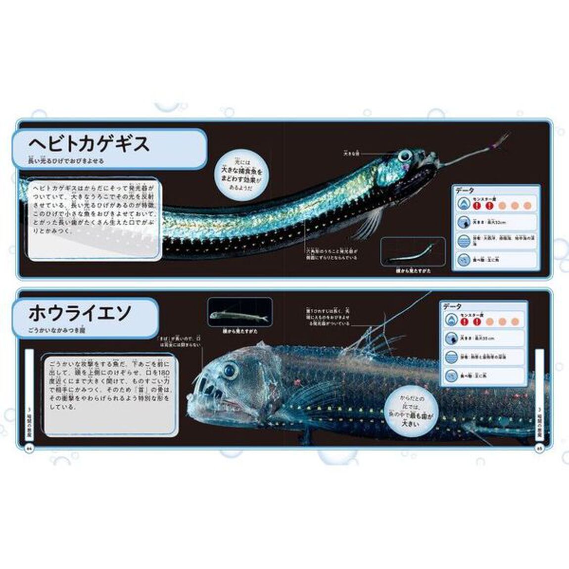 最強サメと海の危険生物大図鑑