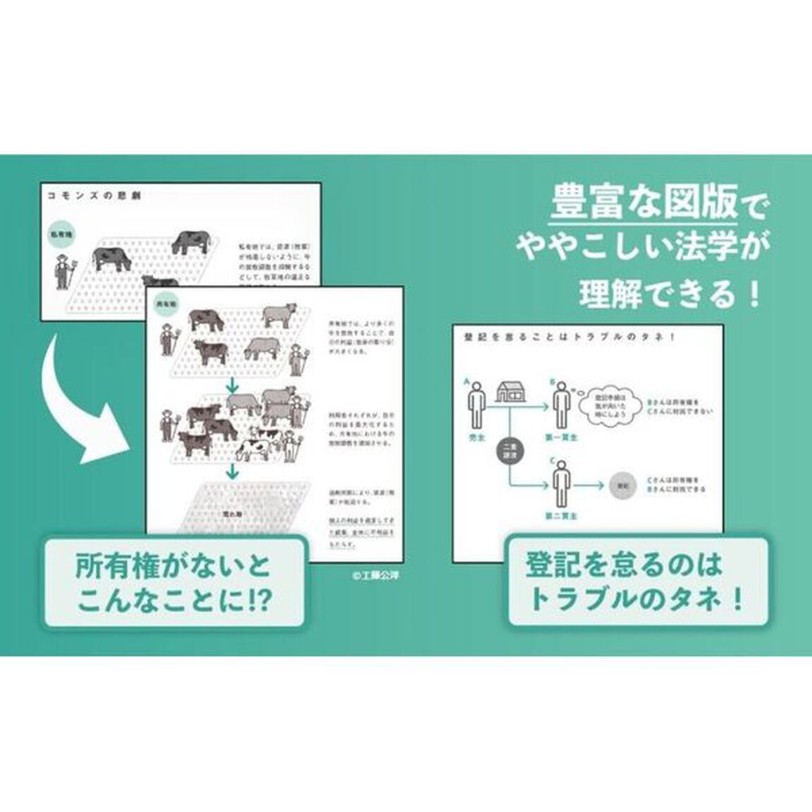 はじめまして、法学　身近なのに知らなすぎる「これって法的にどうなの？」「第２版」