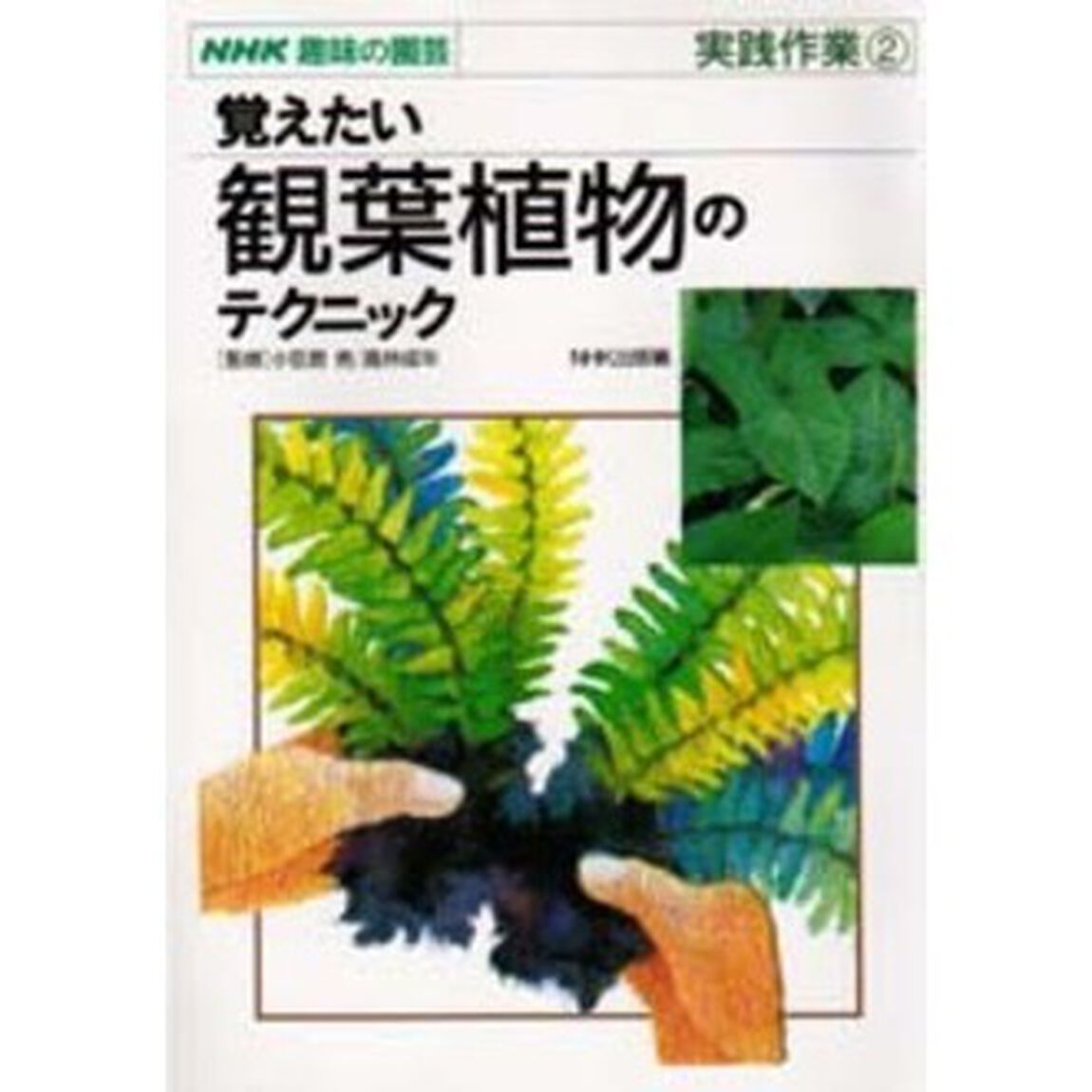 覚えたい観葉植物のテクニック