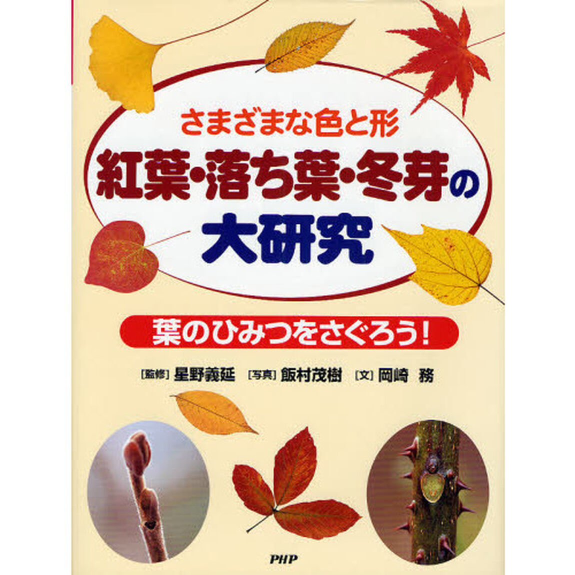 紅葉・落ち葉・冬芽の大研究　さまざまな色と形　葉のひみつをさぐろう！