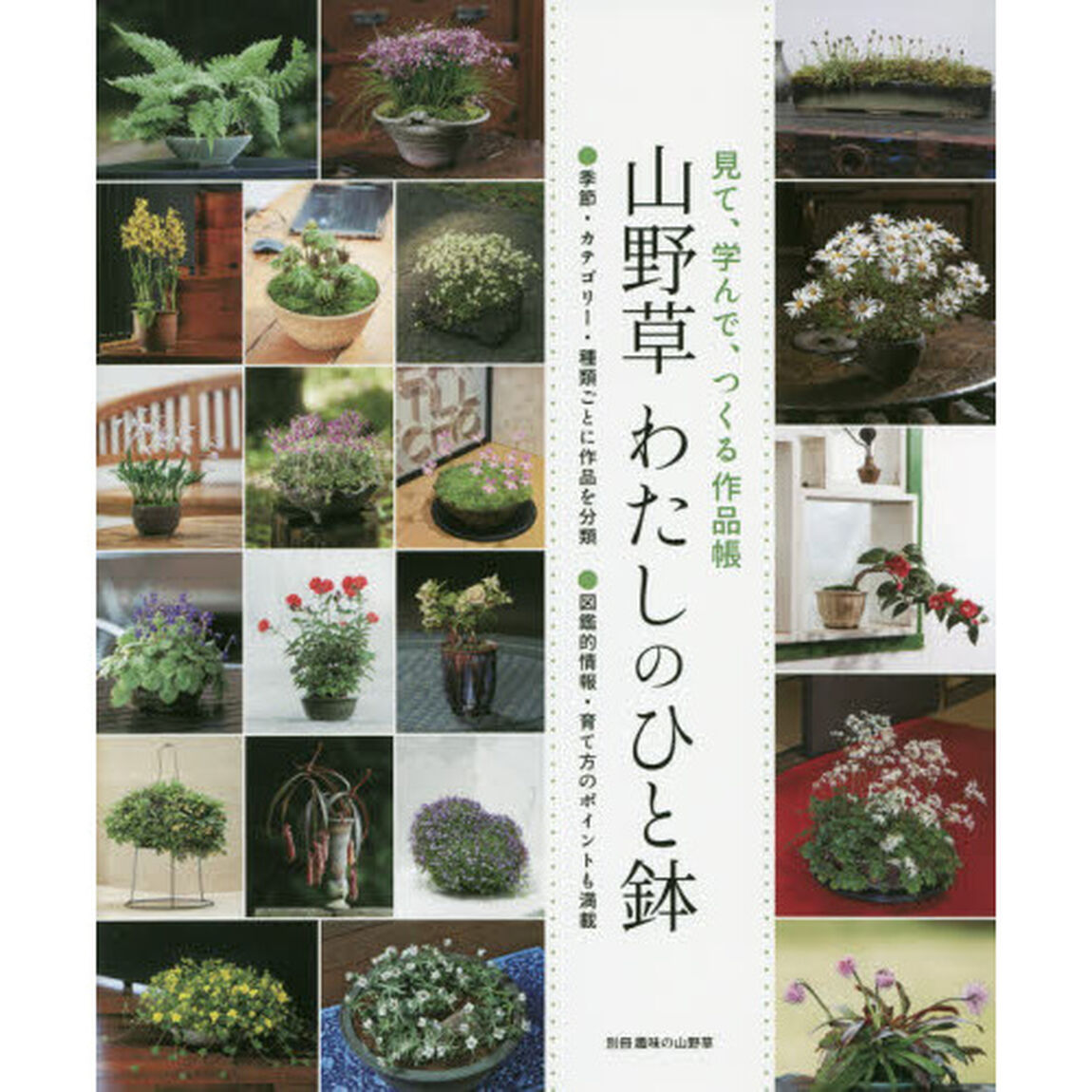 山野草わたしのひと鉢　見て、学んで、つくる作品帳