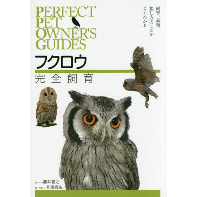 フクロウ完全飼育　飼育、品種、接し方のことがよくわかる