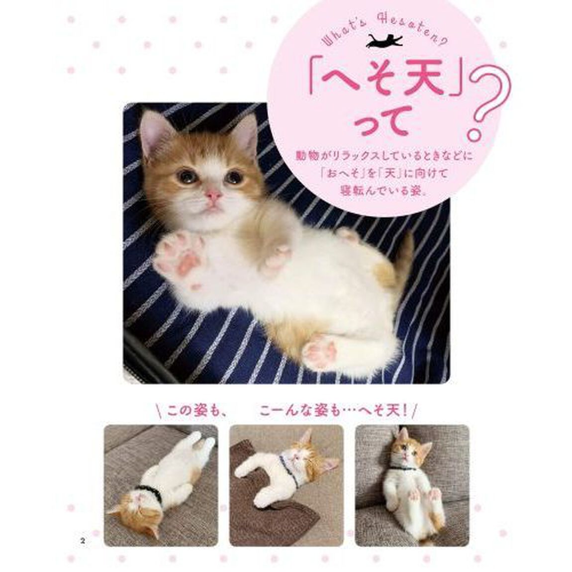 へそ天にゃんこ　見るだけで幸せににゃる
