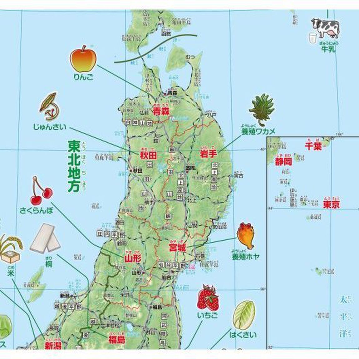 Ｃ１　小学中学年　学習日本地図