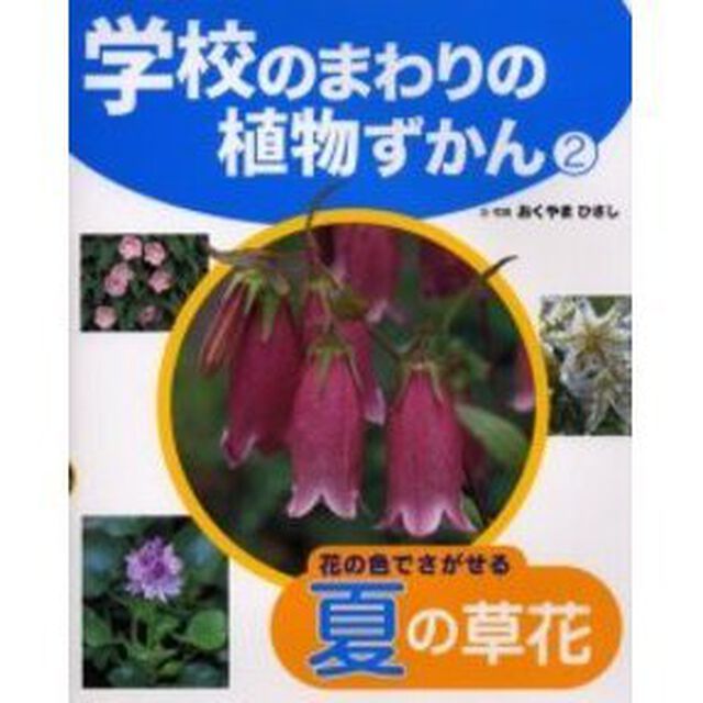 学校のまわりの植物ずかん　２「花の色でさがせる夏の草花」