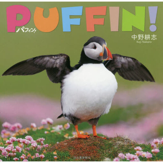 パフィン！