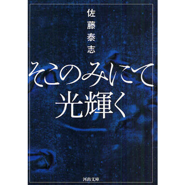 そこのみにて光輝く