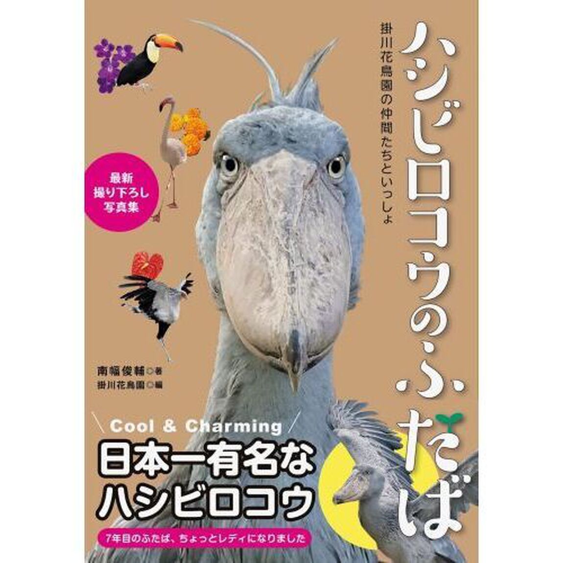 ハシビロコウのふたば　掛川花鳥園の仲間たちといっしょ