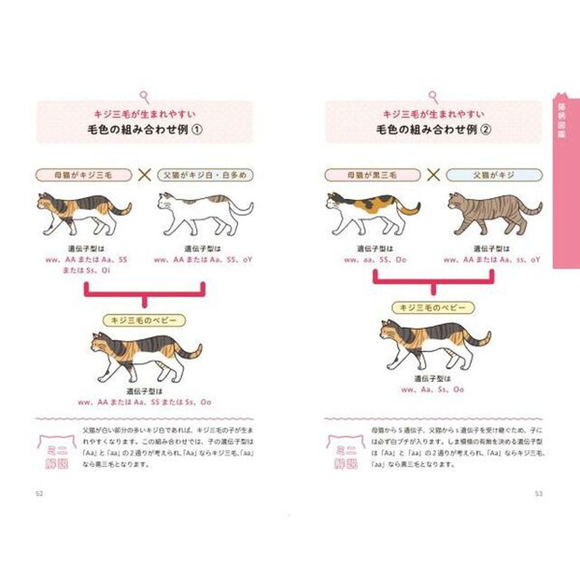 猫柄図鑑　にゃんこの柄のすべてがわかる