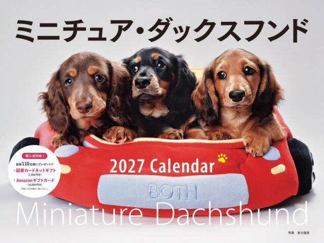 &rsquo;２７　カレンダーワイド判ミニチュア・ダ